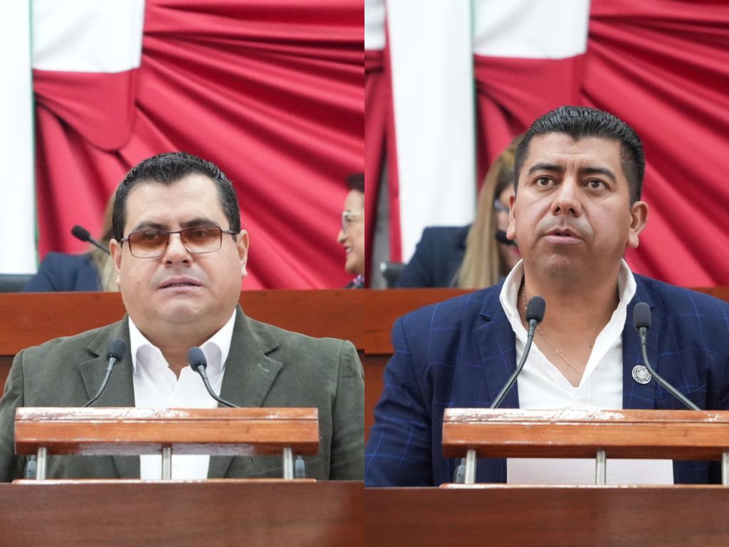 Emite Congreso convocatoria para selección de comisionado o comisionada del IAIP